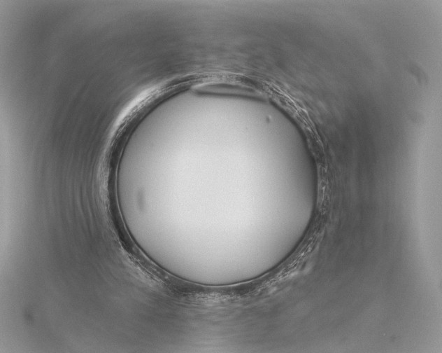 X0000115770197200912041438