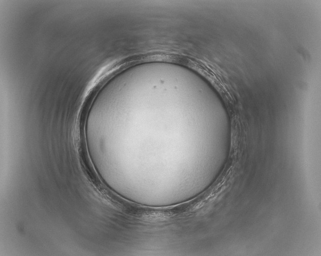 X0000115770198200912041438