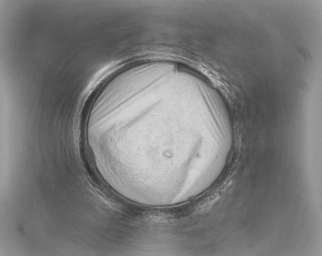 X0000115770199200912041438