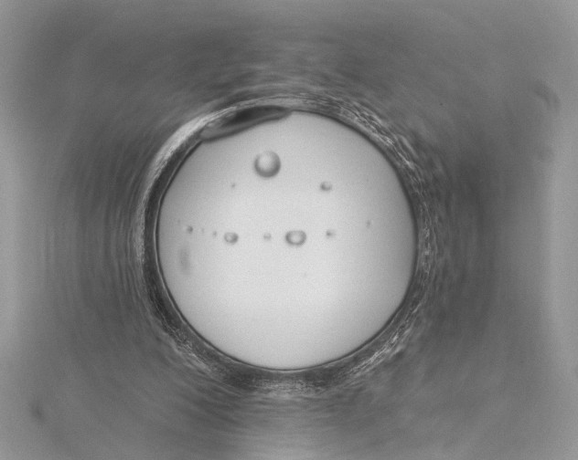 X0000115770200200912041438