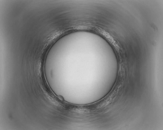 X0000115770201200912041438