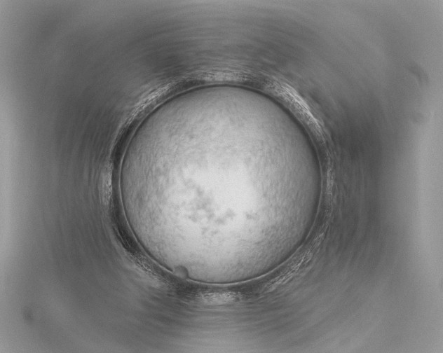 X0000115770202200912041438