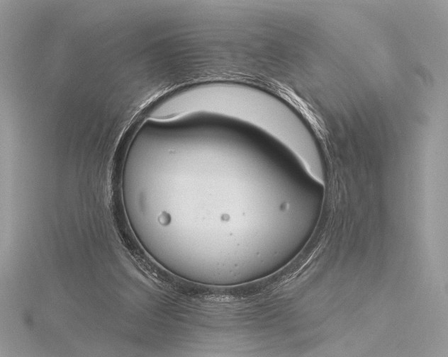 X0000115770203200912041438