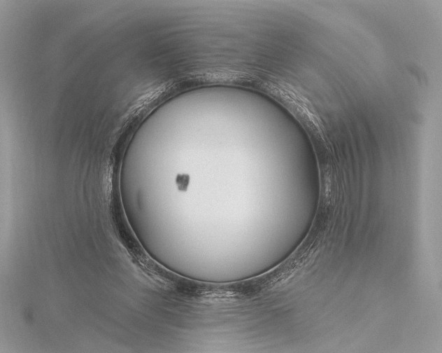 X0000115770206200912041438