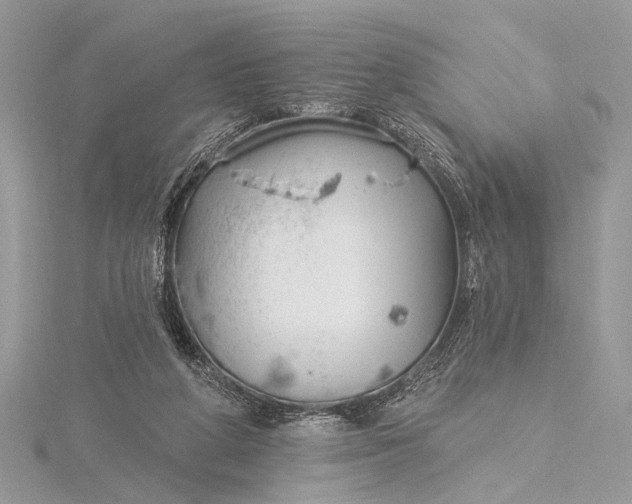 X0000115770210200912041438