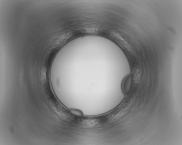 X0000115770213200912041438