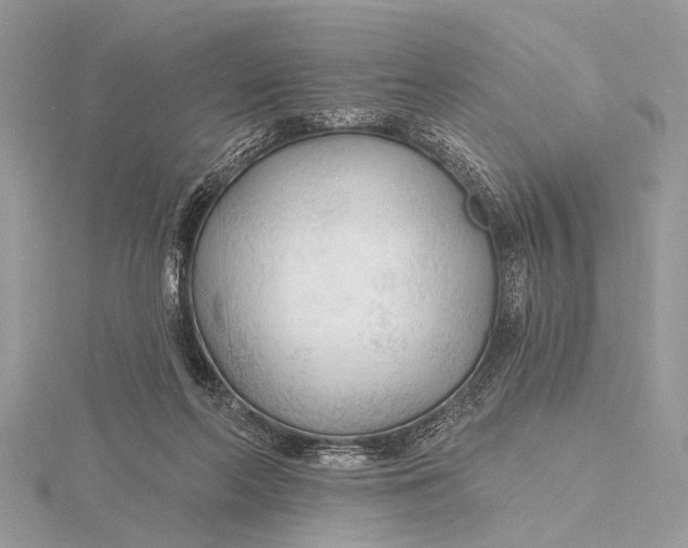 X0000115770214200912041438