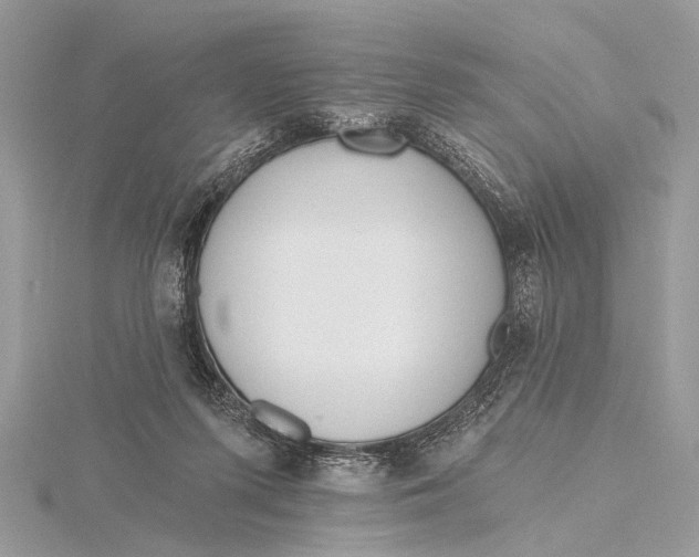 X0000115770215200912041438