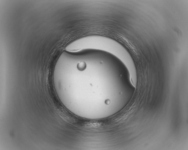 X0000115770217200912041438