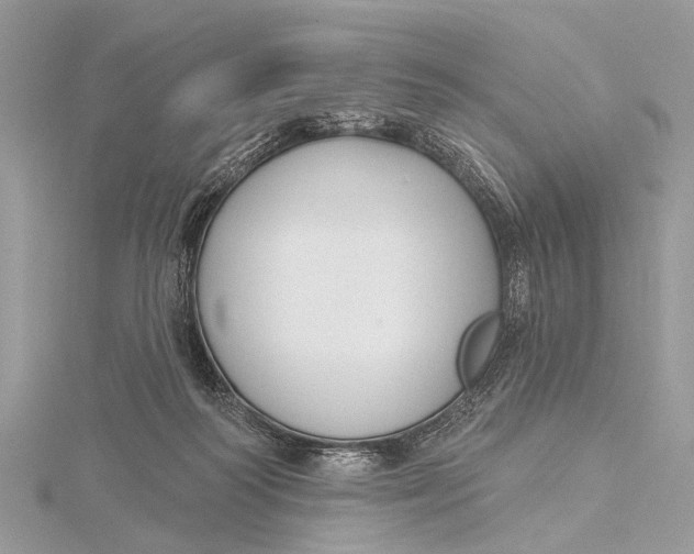 X0000115770218200912041438