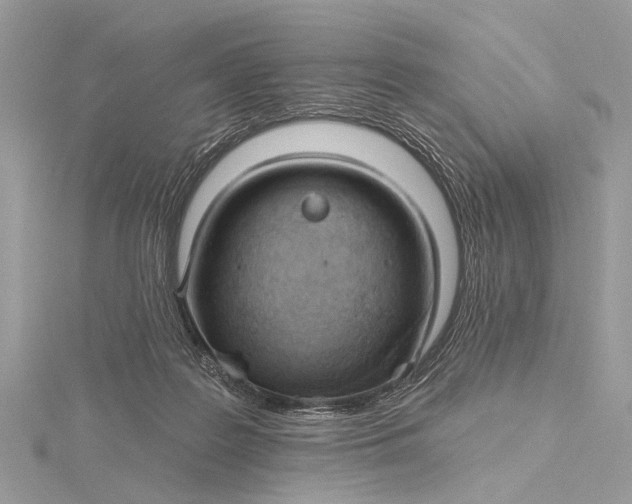 X0000115770219200912041438