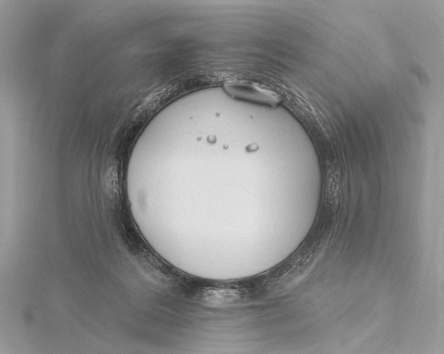 X0000115770220200912041438