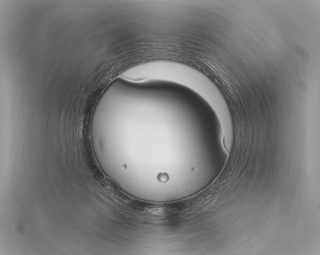 X0000115770221200912041438