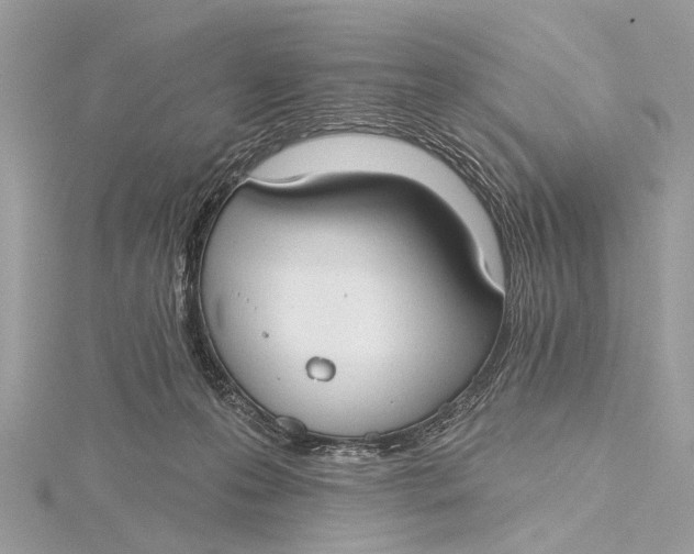 X0000115770223200912041438