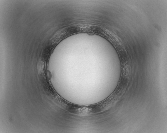 X0000115770225200912041438