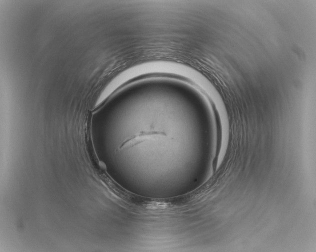 X0000115770227200912041438