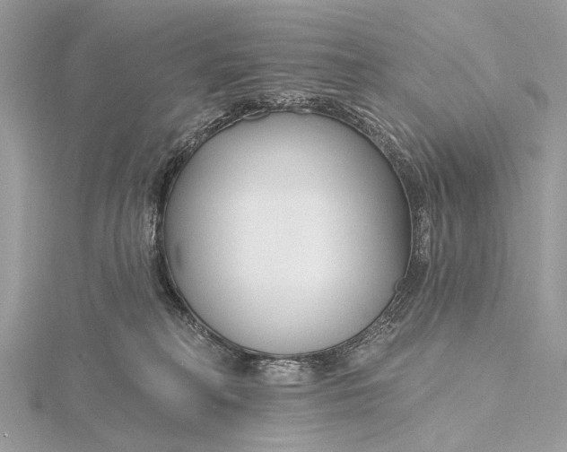 X0000115770230200912041438