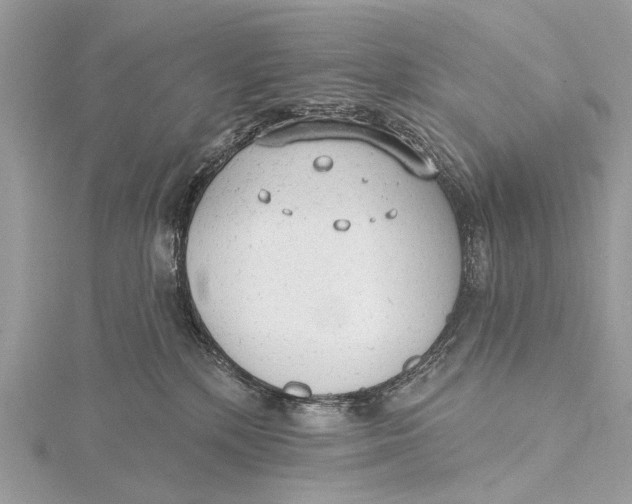 X0000115770232200912041438