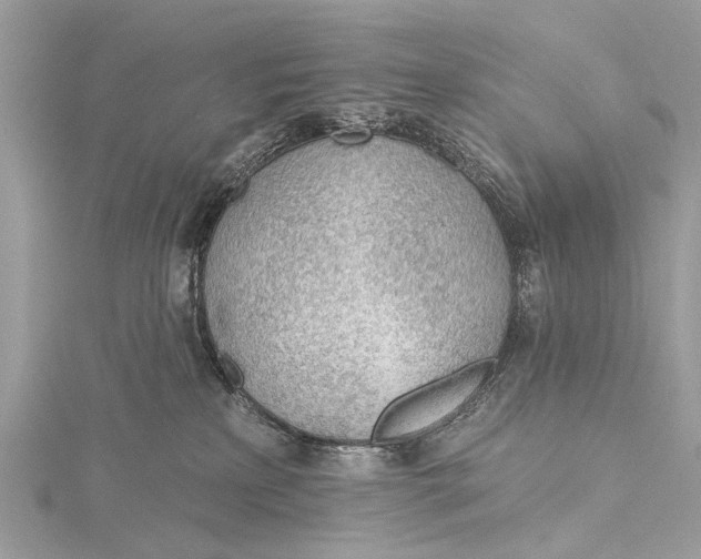 X0000115770233200912041438