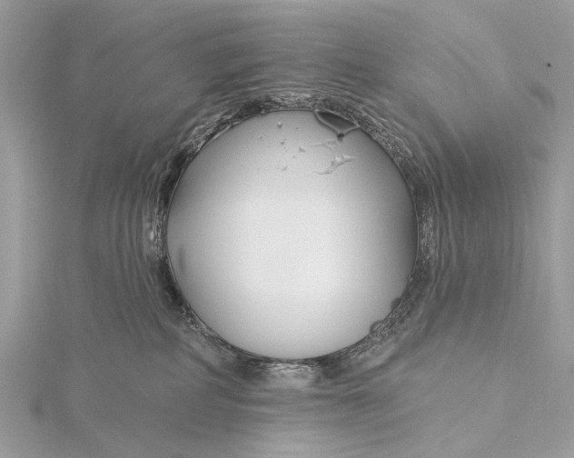 X0000115770234200912041438