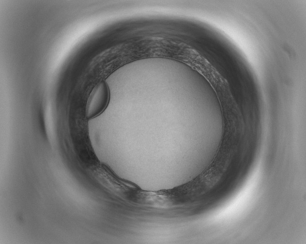 X0000115770239200912041438