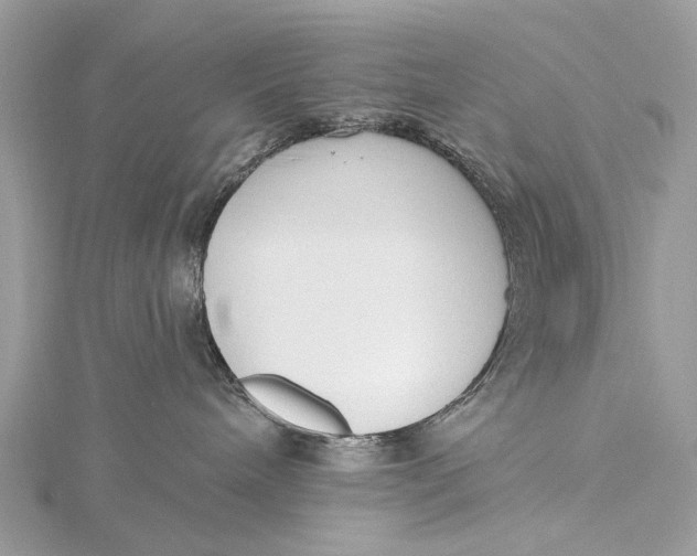 X0000115770240200912041437