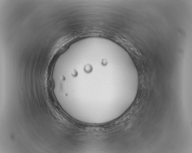 X0000115770242200912041437