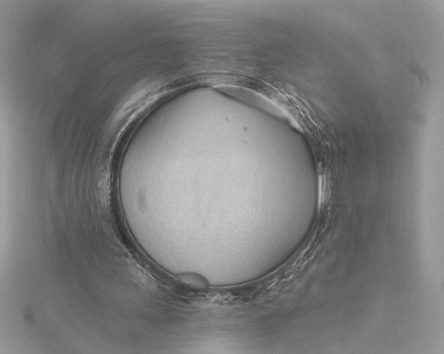 X0000115770243200912041437