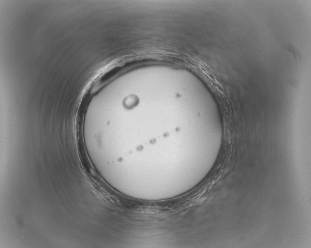 X0000115770244200912041437