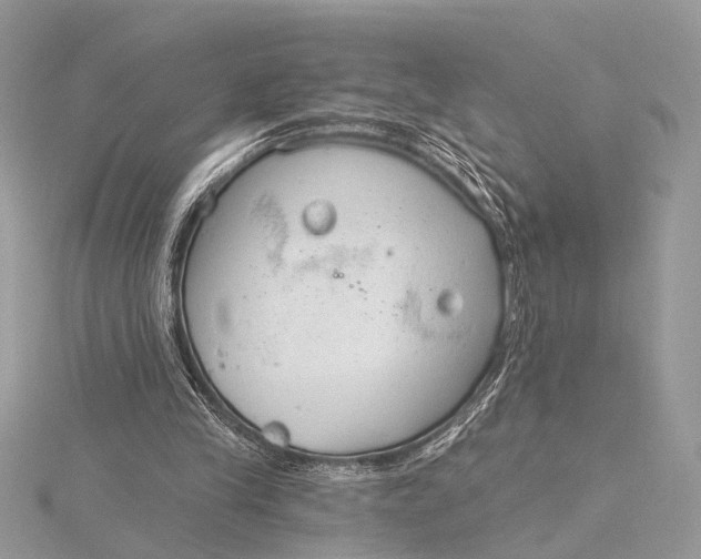 X0000115770245200912041437