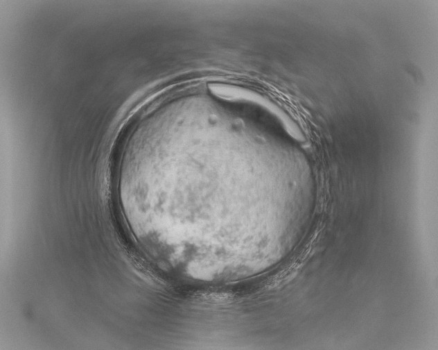 X0000115770247200912041437