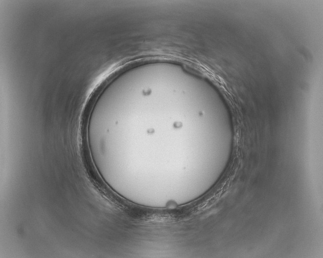 X0000115770248200912041437