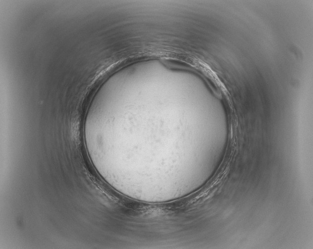 X0000115770249200912041437