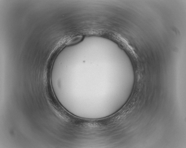 X0000115770250200912041437