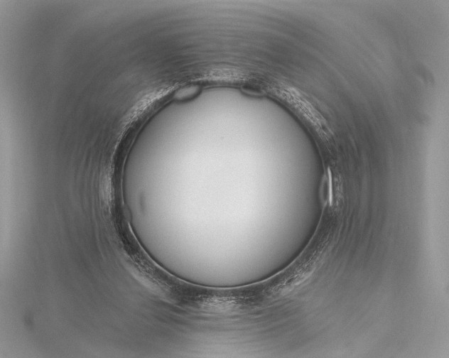 X0000115770252200912041437