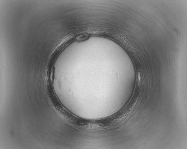 X0000115770256200912041437