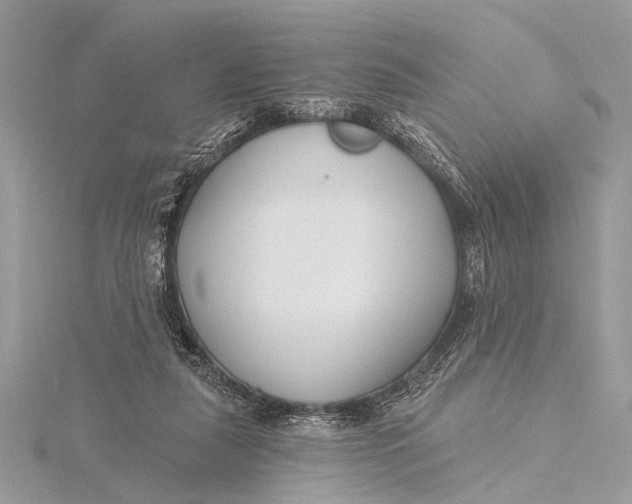 X0000115770259200912041437