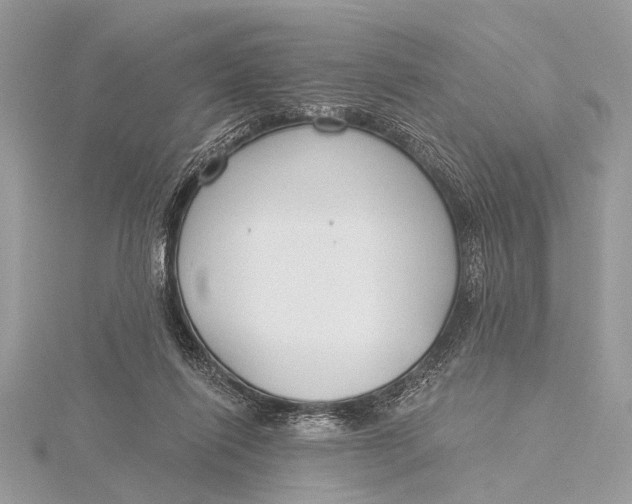 X0000115770262200912041437