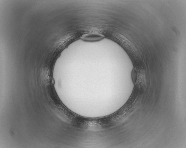 X0000115770264200912041437