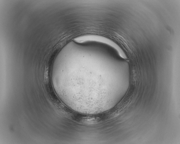 X0000115770267200912041437