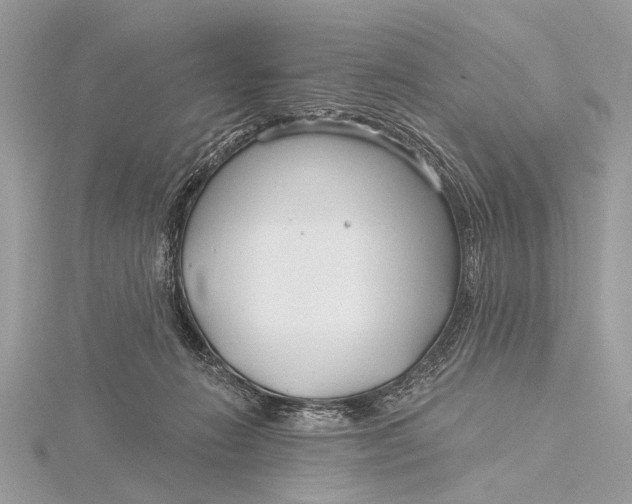 X0000115770270200912041437