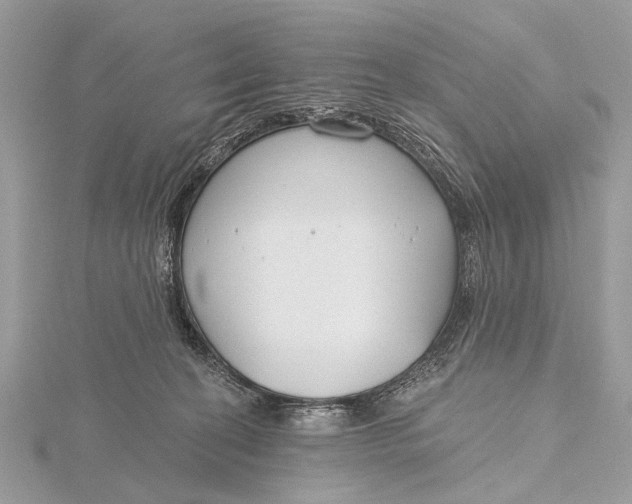 X0000115770274200912041437