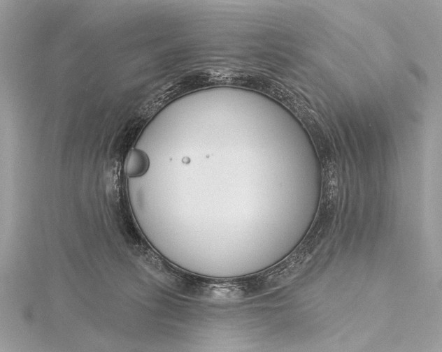 X0000115770275200912041437