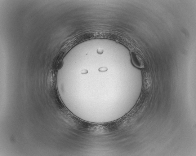 X0000115770276200912041437