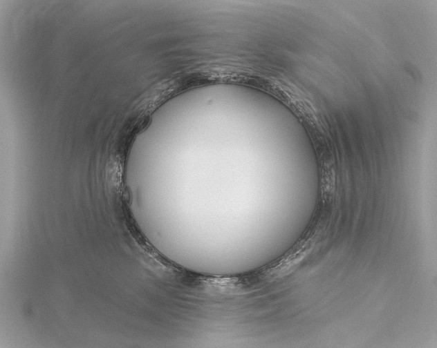 X0000115770281200912041437