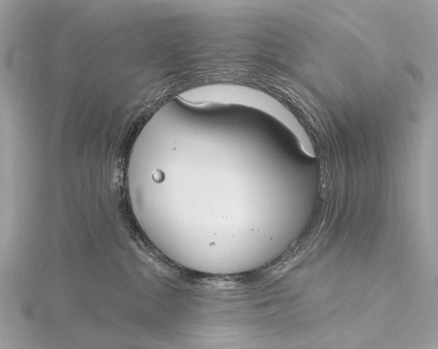 X0000115770284200912041437