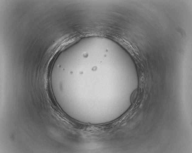 X0000115770290200912041437