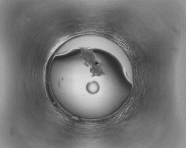 X0000115770292200912041437