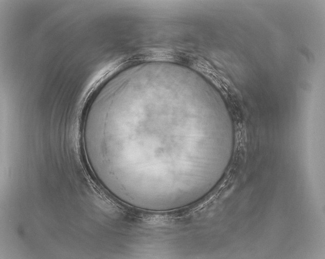 X0000115770293200912041437