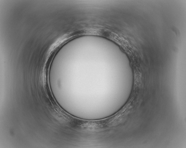 X0000115770294200912041437